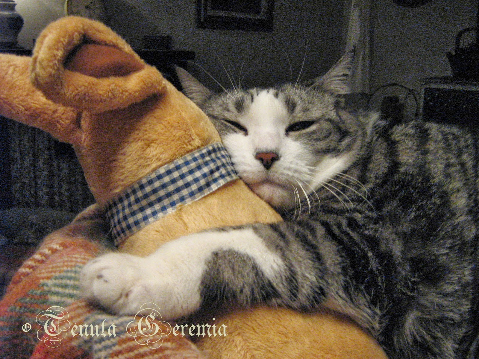'Good night, sweet Prince: And flights of Angels sing Thee to Thy rest.'